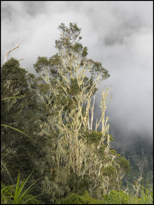 View down Uga R from Camp 4