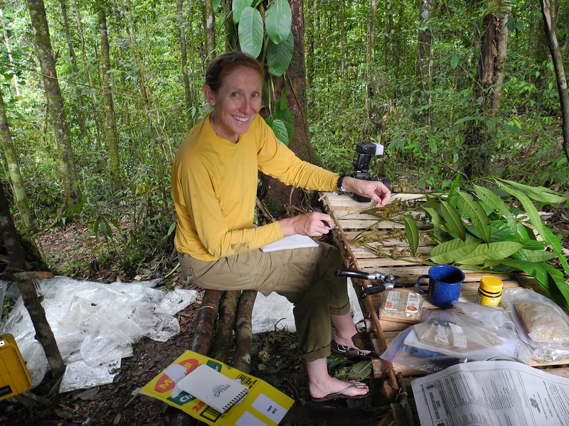 Processing specimens